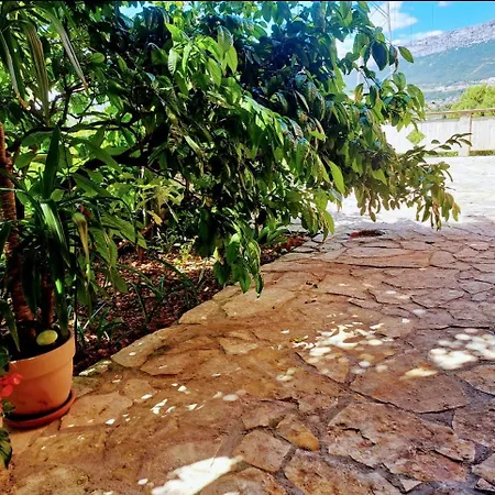 Floral Retreat * 斯普利特