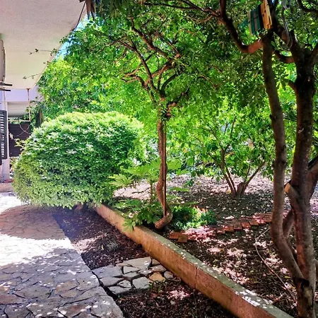 Floral Retreat * 斯普利特