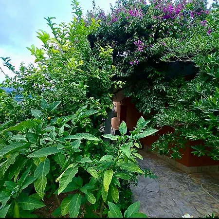 Floral Retreat Appartement *